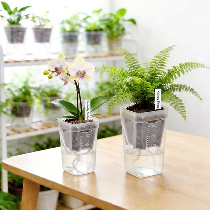 2" Clear Self Watering Pots for Indoor Plants,16PCS Mini Plastic Nursery Planters with Water Level Indicator & Drainage Holes for Propagation,Succulents,Seedling,African Violet,Plant Labels