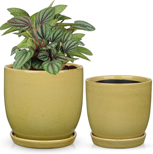 GnFlus Ceramic Plant Pots 5 Inch + 4 Inch Set of 2, Flower Plants Pot with Drainage Holes and Saucers Tray Planter Garden Pot for Succulent Cactus Home Decoration Gift Indoor Outdoor Green