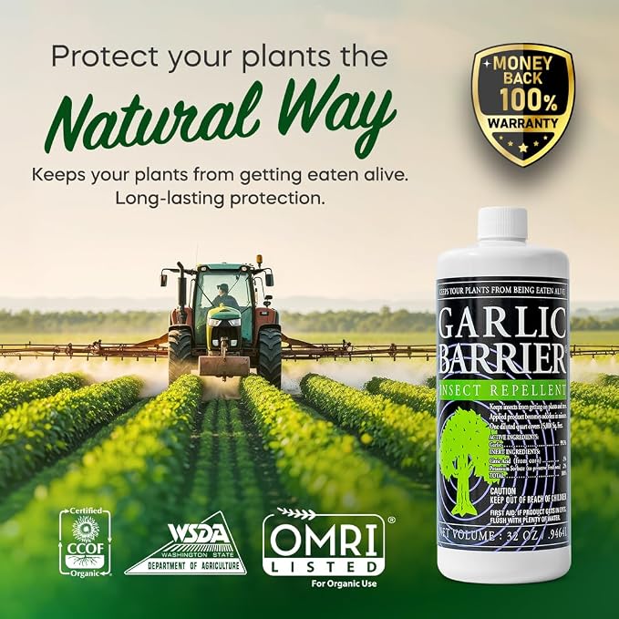 Liquid Garlic Insect Repellent Concentrate, 32 fl oz – OMRI Listed Garlic-Based Formula for Farms, Crops, Gardens & Greenhouses – Indoor & Outdoor Plant Protection