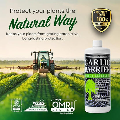 Liquid Garlic Insect Repellent Concentrate, 32 fl oz – OMRI Listed Garlic-Based Formula for Farms, Crops, Gardens & Greenhouses – Indoor & Outdoor Plant Protection