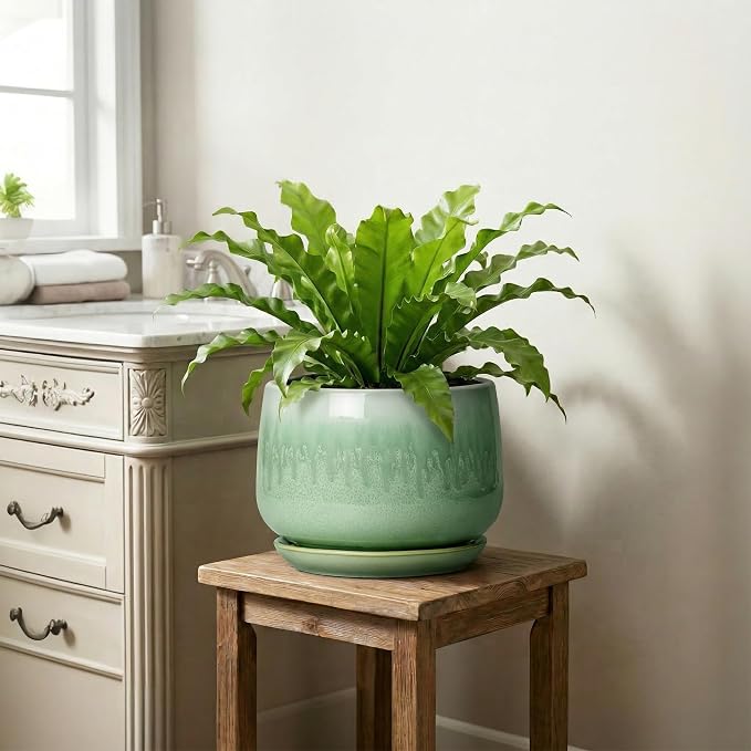 9 Inch Plant Pot - Ceramic Planter with Drainage Hole and Saucer, Decorative Ceramic Pots for Indoor Plants, Round Durable Flower Pot, Office House Patio Decor, Gifts for Plant Lovers, Green