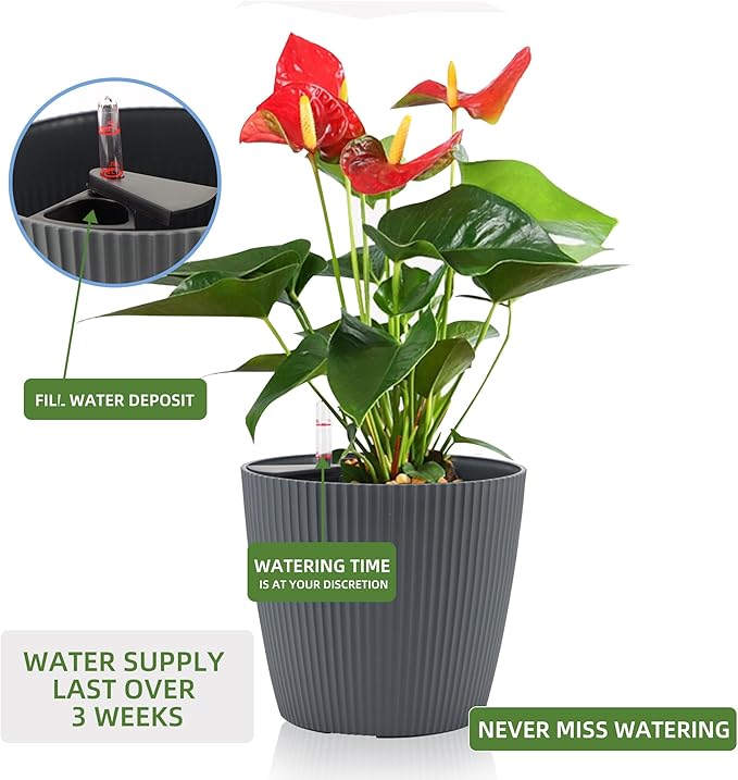 Dexceder 13x12 Self Watering Planters Indoor (2 Pack, Gray) | Inner Mat Design, Floor Standing Flower Plant Pot with Water Level Indicator