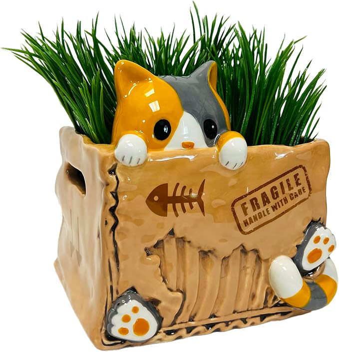 Streamline Imagined Cat in the Box Planter