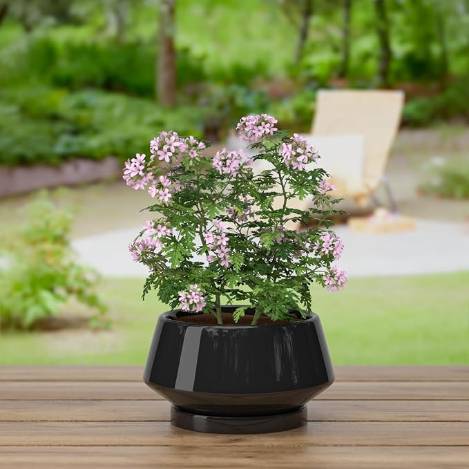 10 Inch Black Ceramic Planter with Drainage Hole and Saucer | Ideal for Indoor and Outdoor Plants, Modern Home Decor, Round, Gloss Black