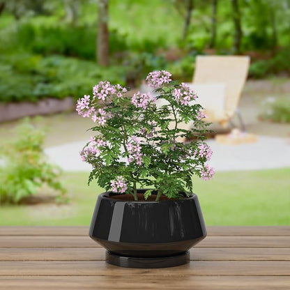 10 Inch Black Ceramic Planter with Drainage Hole and Saucer | Ideal for Indoor and Outdoor Plants, Modern Home Decor, Round, Gloss Black