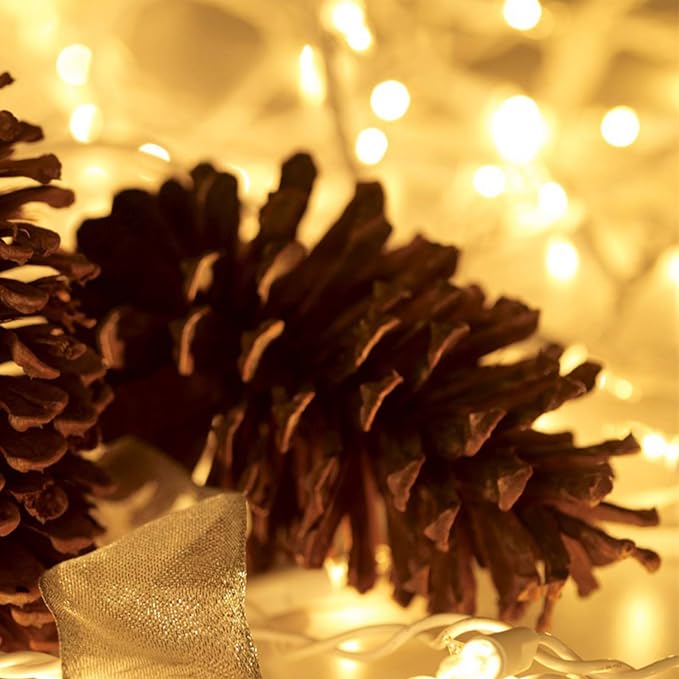 HISHINY Christmas Lights 100 Count Mini Clear Lights 32ft White Wire Christmas Tree String Lights Set for Outdoor Indoor Christmas Decorations Wedding Valentines Day Decor,UL Certified (32feet)
