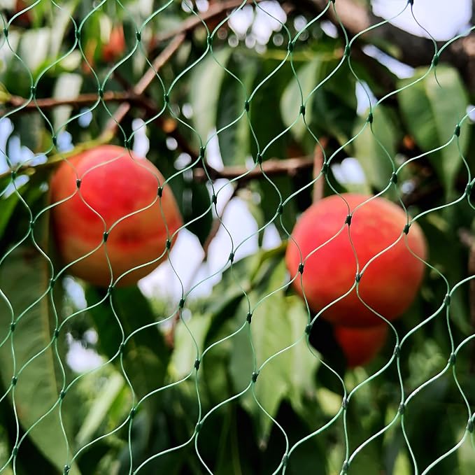 Bird Netting for Garden 6.5X50 FT, 1/4 Inch Mesh, Protect Blueberry, Strawberry, Tomatos, Vegetables. Fruit Tree Netting for Cicadas Against Deers, Squirrels, Bunnies, and Small Critters.