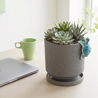 Nihow Ceramic Plant Pot with Cute Resin Figure for Idoor Plants, 5.75 Inch | Drainage Hole and Saucer, Indoor Use, Home Garden Patio Office