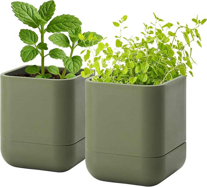 Phoenix Vine 3.5 Inch Wall Mounted Self-Watering Planter Pot for Indoor Houseplants and Herbs | Hanging Planter for Window Sills, Bathroom Walls, Home & Office Décor, Olive, Set of 2, 01-A-F-2