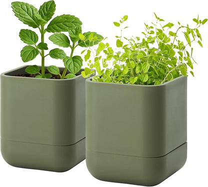 Phoenix Vine 3.5 Inch Wall Mounted Self-Watering Planter Pot for Indoor Houseplants and Herbs | Hanging Planter for Window Sills, Bathroom Walls, Home & Office Décor, Olive, Set of 2, 01-A-F-2