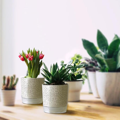 Self Watering Pots for Indoor Plants, Flower Pots, Self Watering Plant Pot-2pcs 4+5.3inch Crack Texture