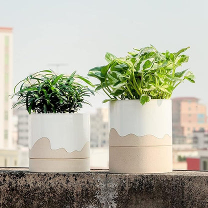 Nihow Ceramic Plant Pot,6 Inch Planter with Drainage Hole&Saucer for Indoor | White & Nature,Indoor & Outdoor, Cylinder Round Flower Pot, For Succulent/Herbs/Violets