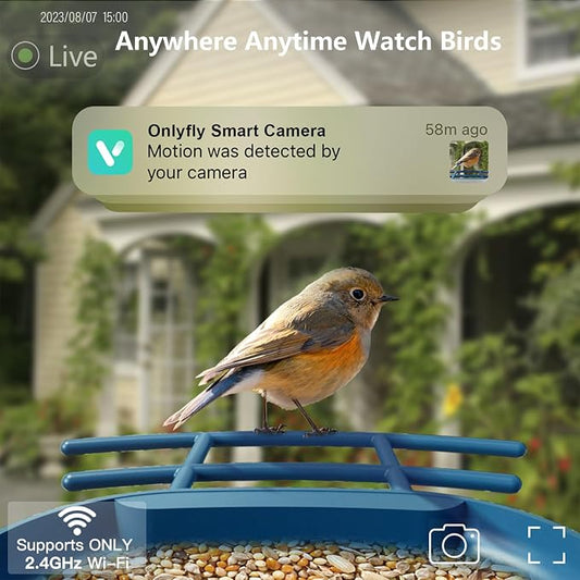 Bird Feeder with Camera Solar Powered : Smart Camera Bird Feeder 2K Live Feed Cam for Outdoor Backyard - Ai Identify Auto Capture Videos Pictures, Gifts for Birdlover Mom Dad, 2.4GHz WiFi