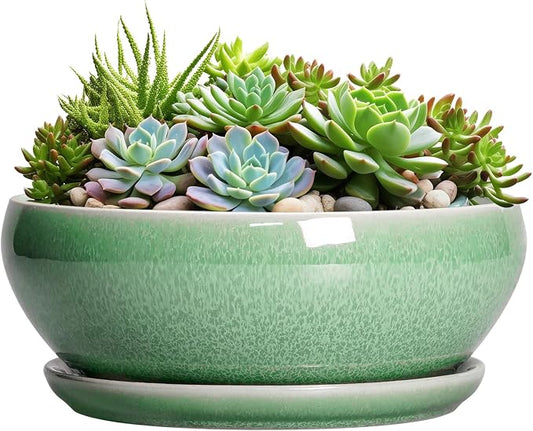 SQOWL Succulent Planter 12 Inch - Ceramic Bonsai Pots with Drainage Hole and Saucer, Large Shallow Planter, Bowl Round Planter for Indoor Outdoor Plants Flower, Room Decor, Birthday Gifts, Green