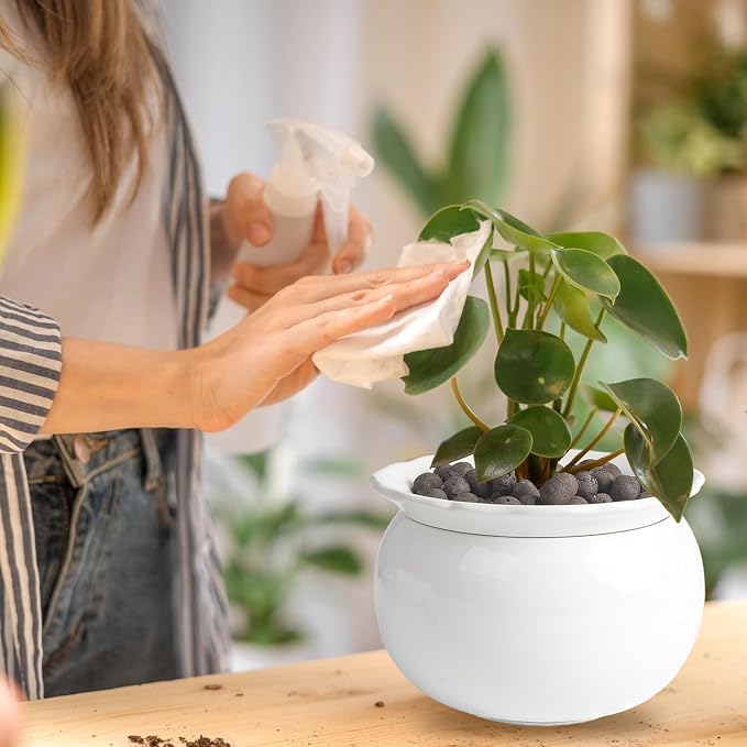 African Violet Pots, 6 Inch Self Watering Pots for Indoor Plants, Self Watering Plant Pot, Easy Plant Self Watering Pot, Ceramic Plant Pot with Absorbent Inner Pot for Flowers-White