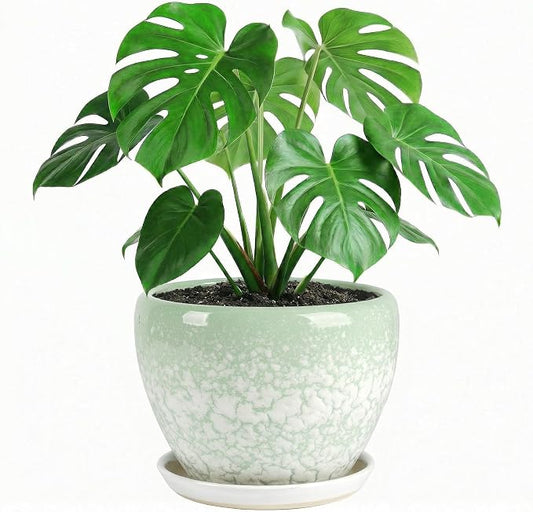 10.2 Inch Ceramic Planter with Saucer Leak-Proof Mesh &Drainage, Round Plant Pot with Gardening Gloves for Indoor Outdoor Plants (Jade Green)
