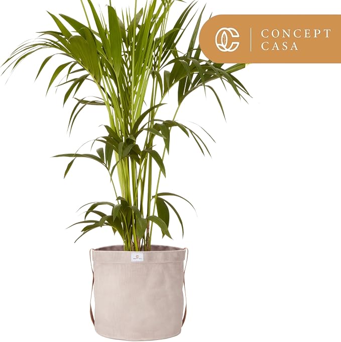 Extra Large Waxed Canvas Planter – 10" Stone Gray Fabric Pot Cover for Indoor/Outdoor Plants, Hanging Basket & Floor Plant Holder, Handmade Decorative Plant Container
