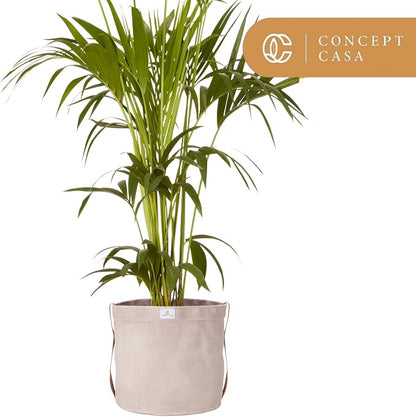Extra Large Waxed Canvas Planter – 10" Stone Gray Fabric Pot Cover for Indoor/Outdoor Plants, Hanging Basket & Floor Plant Holder, Handmade Decorative Plant Container