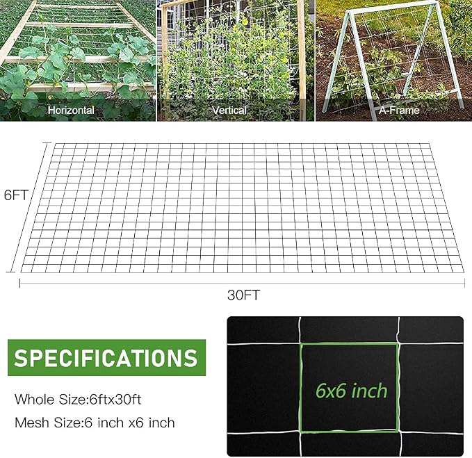 Trellis Netting, CANAGROW Heavy-Duty Garden Plant Trellis Netting for Climbing Plants, Outdoor Indoor Grow Net for Beans Tomatoes Peas Pumpkin Flowers, 6x30ft, 1 Pack