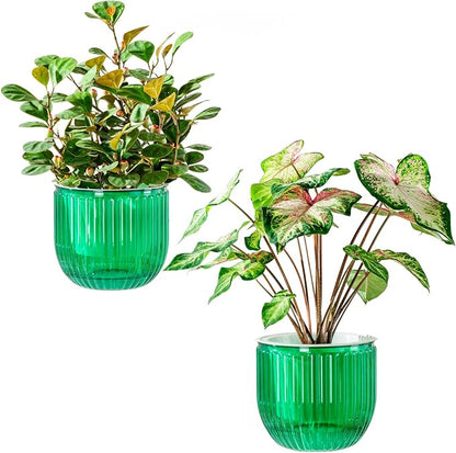 Melphoe Self Watering Pots for Indoor Plants Planter, 6.5 Inch 2 Pack Planters Self Watering Plant Pots for Flower, Houseplants, Succulent, African Violets and Cactus with Drainage