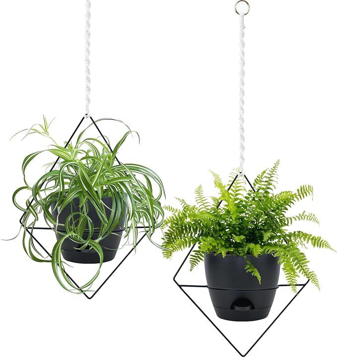 Koalaime Hanging Planters for Indoor Plants, 2 Set Self Watering Hanging Flower Pots, Modern Hanging Plant Baskets with Metal Plant Holder & 6.5 Inch Plastic Pots for Garden Home Decor (Black)