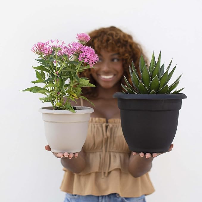 Bloem Ariana 10" Plastic Self-Watering Planter, Black | Self-watering disk at the bottom of the pot that acts as a water wick and reservoir for optimal plant health.