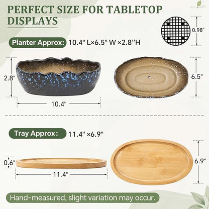 Succulent Pot 10 Inch Large Succulent Planters with Drainage Ceramic Bonsai Pot with Bamboo Tray Round Shallow Planter for Indoor Cactus Flower Planter Window Box for Home Garden Decor (Starry Blue)