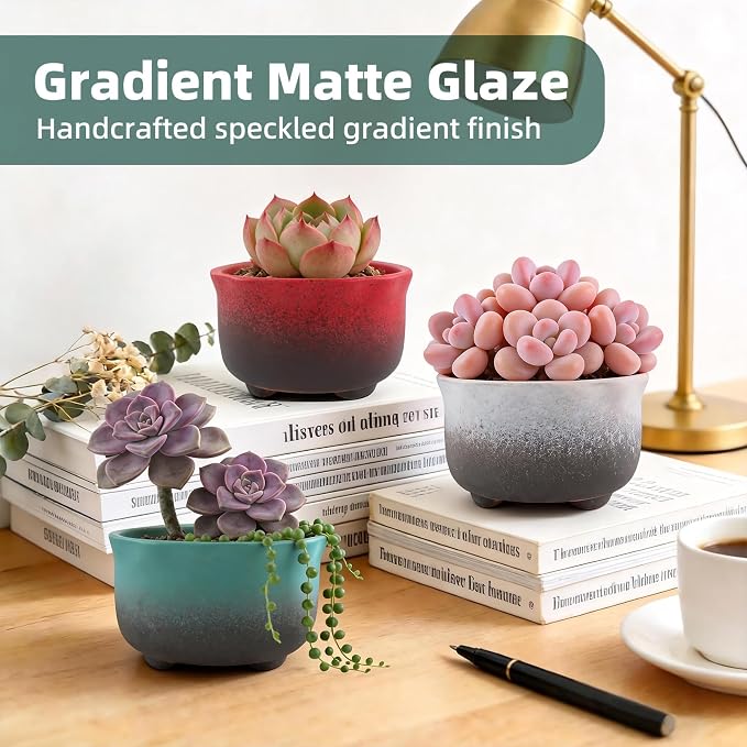 Small Ceramic Garden Pots Succulent Plant Planter Container with Drainage Set of 5 for Home Office Decor