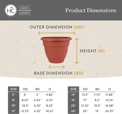 The HC Companies 12 Inch Caribbean Planter Pots with Drainage & Plug, Rolled Rim Plastic Planters for Indoor & Outdoor Plants, 2-Pack Decorative Flower Pots for Garden, Office & Home Decor, Warm Gray