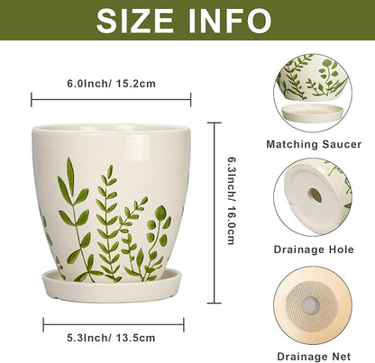 MPotTo Ceramic Pots for Plants - 6 Inch Plant Pot for Indoor Outdoor Plants, Ceramic Planter with Drainage Hole and Saucer, Decorative Round Planter, Gifts for Plant Lovers, Home Room Decor, White