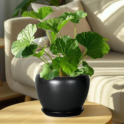 Ceramicfor Ceramic Planter Pot - 8 Inch Plant Pot with Drainage Hole and Saucer Round Planter for Indoor Plants Modern Outdoor Flower Pot for House Balcony Black