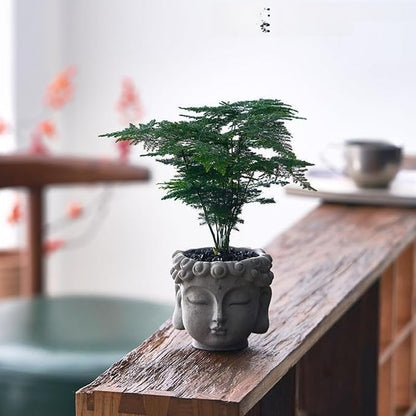 Buddha Head Planter with Drainage Hole - Zen Flower Pot for Succulents, Air Plants, Home & Office Decor, Gift for Plant Lovers (Indoor/Outdoor Use)﻿