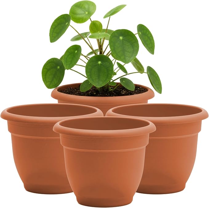 Bloem Ariana 8" Plastic Self-Watering Planter, Terra Cotta, 4-Pack | Self-watering disk at the bottom of each pot that acts as a water wick and reservoir for optimal plant health