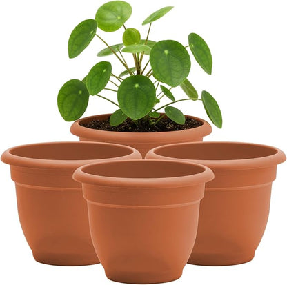 Bloem Ariana 8" Plastic Self-Watering Planter, Terra Cotta, 4-Pack | Self-watering disk at the bottom of each pot that acts as a water wick and reservoir for optimal plant health