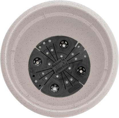 Bloem Ariana 12" Plastic Self-Watering Planter, Vanilla Bean, 2-Pack | Self-watering disk at the bottom of each pot that acts as a water wick and reservoir for optimal plant health