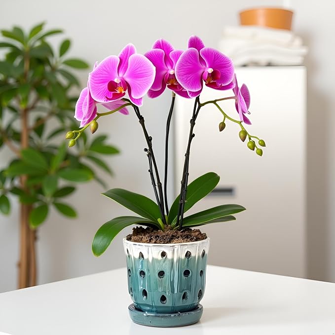 Orchid Pots 4.9 inch Ceramic Orchid Pots with Holes Set of 2 Cream Over Turquoise