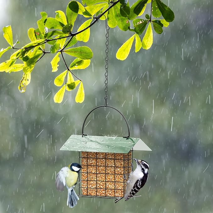 Bird Feeder for Outdoors, Squirrel Proof Suet Feeder for Outside Hanging | Adjustable Chain Hanging for Garden Yard Outside - Suet Cake Feeders Squirrel Proof Birdfeeder