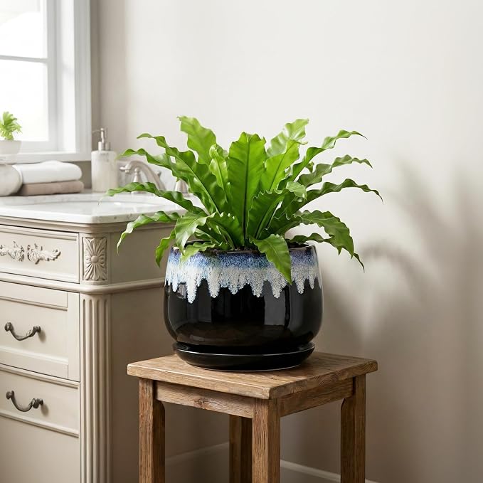 Ceramic Plant Pots - 9 Inch Flower Pots for Indoor Plants, Decorative Pots for Plants with Drainage and Saucer, Large Planter, House Office Decor, Gardening Gifts for Women, Black-Blue
