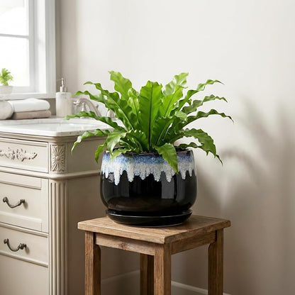 Ceramic Plant Pots - 9 Inch Flower Pots for Indoor Plants, Decorative Pots for Plants with Drainage and Saucer, Large Planter, House Office Decor, Gardening Gifts for Women, Black-Blue