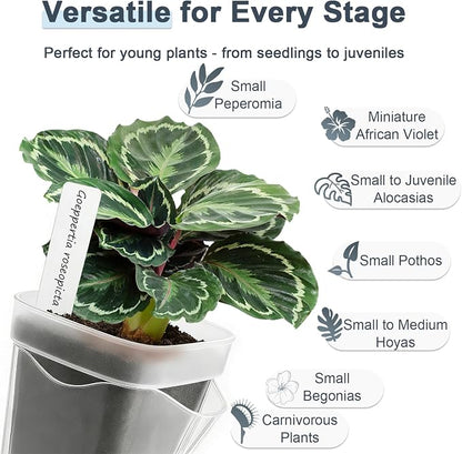 15 Pack 2" Self Watering Pots for Indoor Plants,Mini Clear Plastic Planters with Water Level Indicator & Drainage Holes for Alocasia Propagation, African Violets, Seedlings, Cuttings and Succulents
