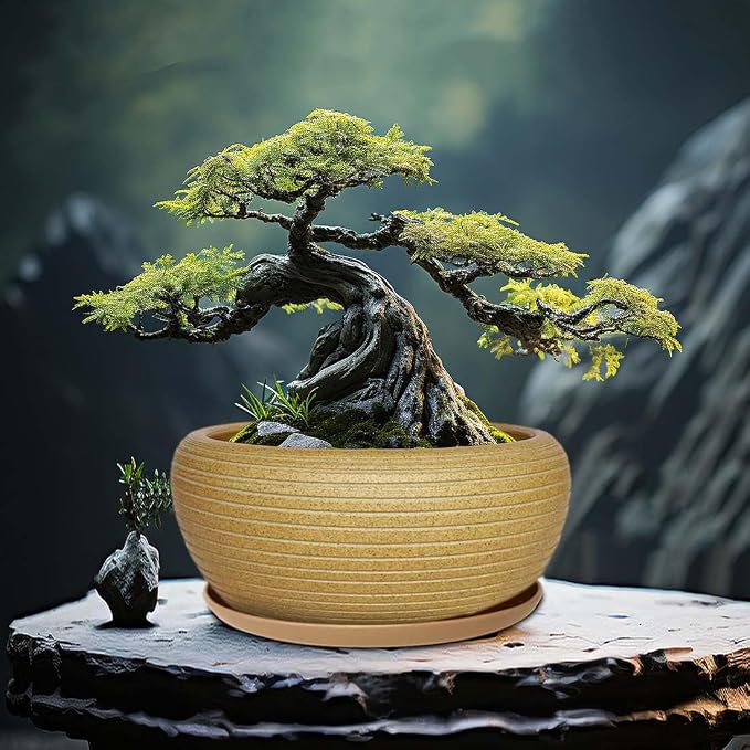 MUZHI 9.5” Round Large Ceramic Bonsai Bowl Planter，Clay Succulent Plant Pot Container with Saucer (9.5”)