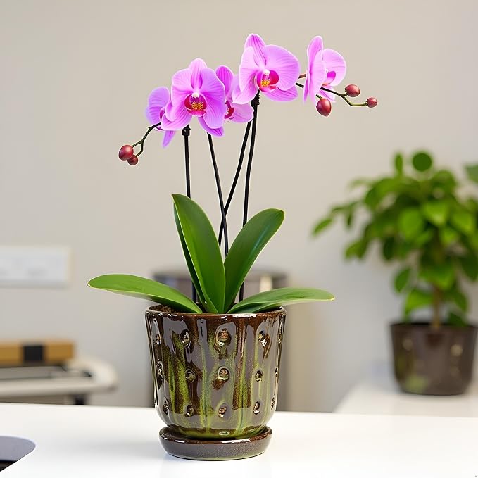 Orchid Pots 4.9 inch Ceramic Orchid Pots with Holes Set of 2 (mossgreen+White)