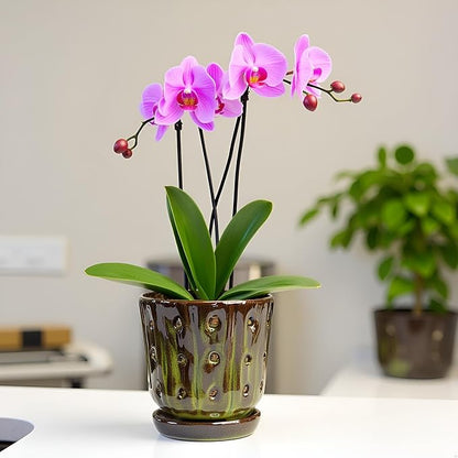 Orchid Pots 4.9 inch Ceramic Orchid Pots with Holes Set of 2 (mossgreen+White)