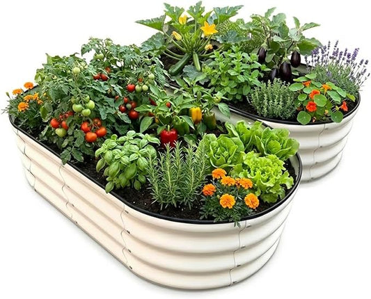 Raised Garden Bed, Metal Planter Box, Oval Shape, Outdoor Planting Flower Herb Vegetable Planter(2 PCS of 4×2×1 ft, Ivory Oval)