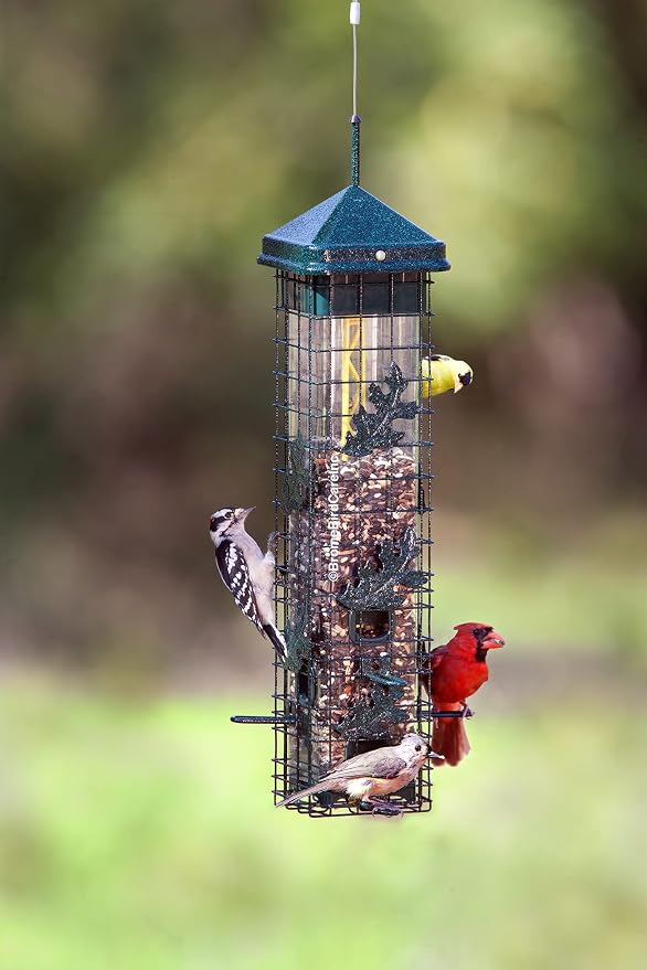 Squirrel Solution200 Squirrel-proof Bird Feeder w/6 Feeding Ports, 3.4-pound Seed Capacity, Free Seed Funnel | Powder-Coated Metal Shroud, Spring-Loaded Weight-Closing, Polycarbonate Tube, Includes Seed Funnel