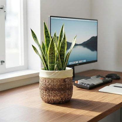 6 Inch Plant Pot - Ceramic Pots for Plants with Drainage Hole and Plug, Unique Plant Pots for Indoor Outdoor Plants, Round Planter, Room Home Decor, Gifts for Plant Lovers, Brown