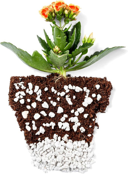 Perlite Bliss (8 Qts) - Organic Perlite for Plants Indoor Soil Amendment - Horticultural Perlite for Gardening & Seed Starting - Mixes Easily with Potting Soil, Vermiculite, & Coco Coir for Plants
