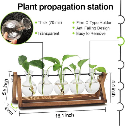 Renmxj Plant Propagation Stations with Wooden Stand & 5 Glass Bulb Vases | Plant Terrarium for Indoor Plants, Home Office Desk Decor, Gardening Gifts for Women Mom, Birthday Gifts for Plants Lovers