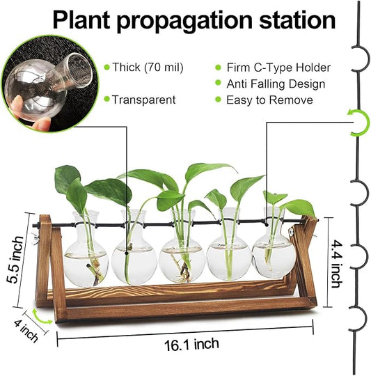Renmxj Plant Propagation Stations with Wooden Stand & 5 Glass Bulb Vases | Plant Terrarium for Indoor Plants, Home Office Desk Decor, Gardening Gifts for Women Mom, Birthday Gifts for Plants Lovers