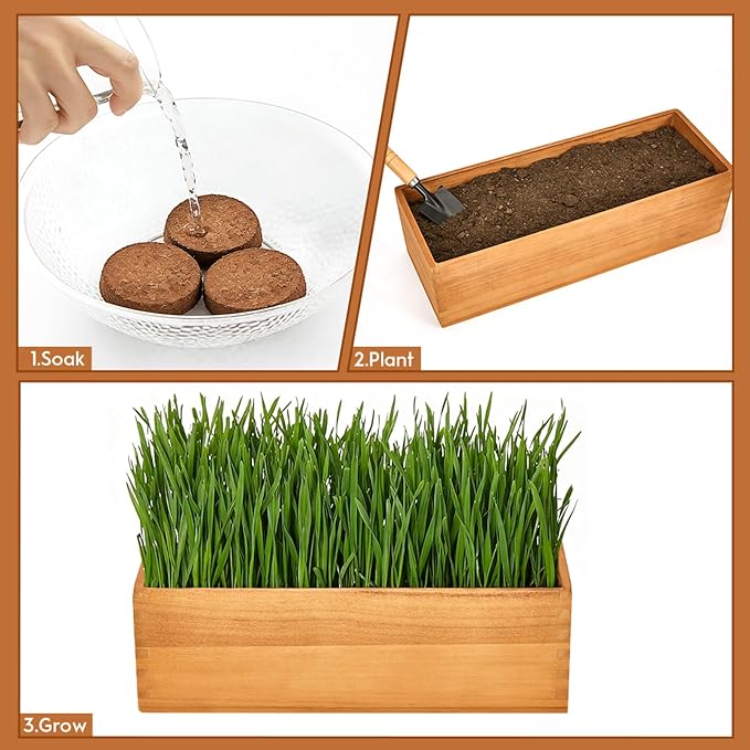 Wooden Cat Grass Planter (no Seeds Included) Anti Digging Design，with Anti-Digging Grid, Potting Soil Disks,Watering Bottle and Removable Plastic Liner,Cat Grass Kit for Indoor Cats Rabbits Pets